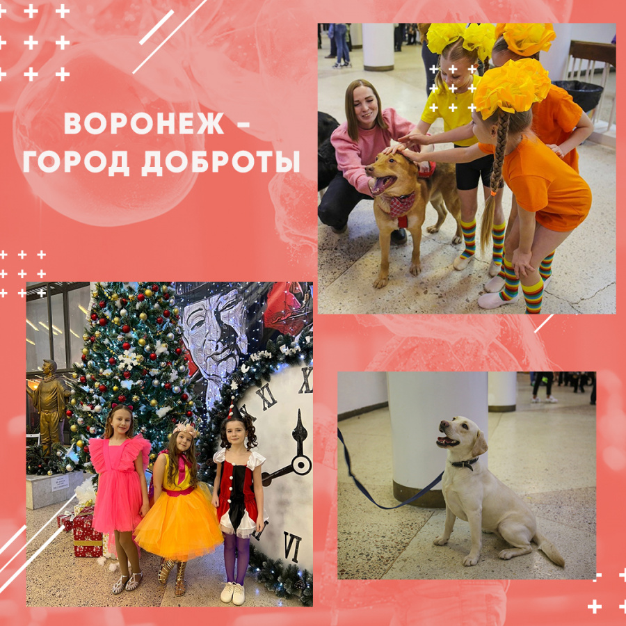 Воронеж - город доброты Воронеж - город доброты