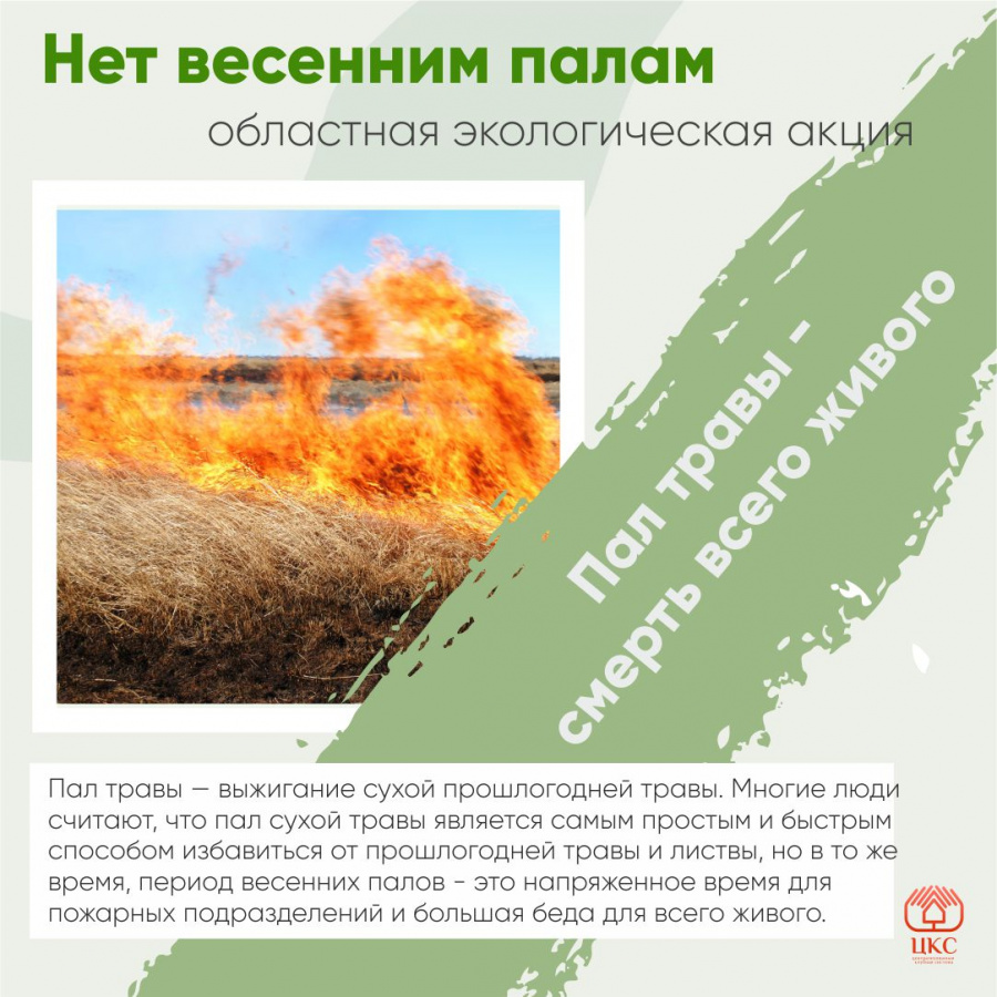 Нет весенним палам Нет весенним палам
