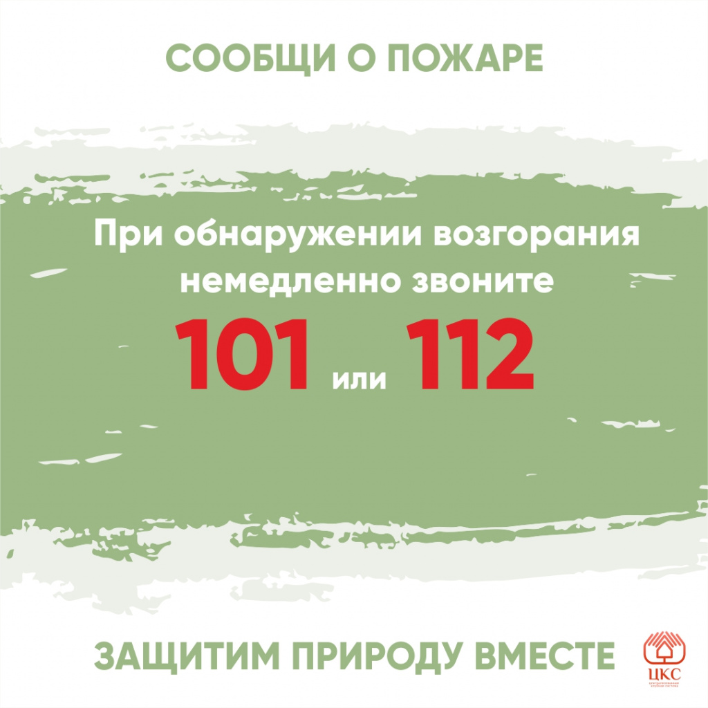 Нет весенним палам 4.jpg Нет весенним палам 4.jpg