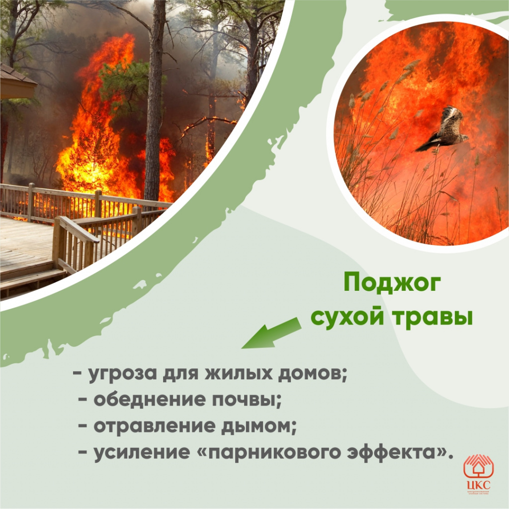 Нет весенним палам - 3.jpg Нет весенним палам - 3.jpg