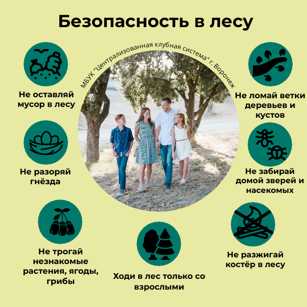 Правила поведения в лесу Правила поведения в лесу